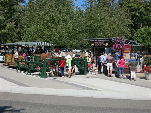 Horse-Drawn Tour of Stanley Park, Vancouver, BC, Canada
