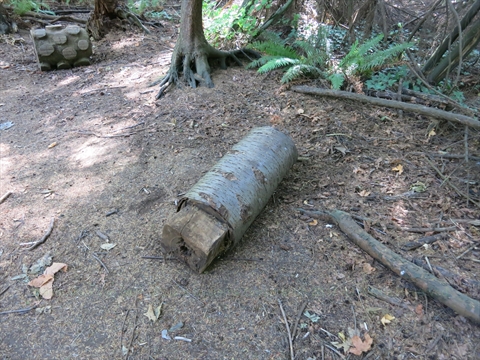 K'Ayacht'n! Environmental Art in Stanley Park, Vancouver, BC, Canada
