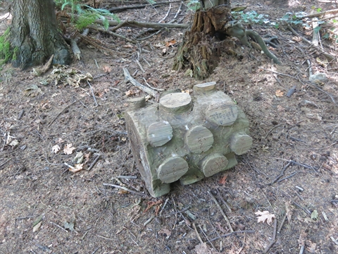 K'Ayacht'n! Environmental Art in Stanley Park, Vancouver, BC, Canada