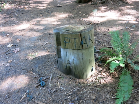 K'Ayacht'n! Environmental Art in Stanley Park, Vancouver, BC, Canada