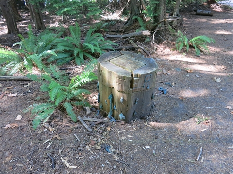 K'Ayacht'n! Environmental Art in Stanley Park, Vancouver, BC, Canada