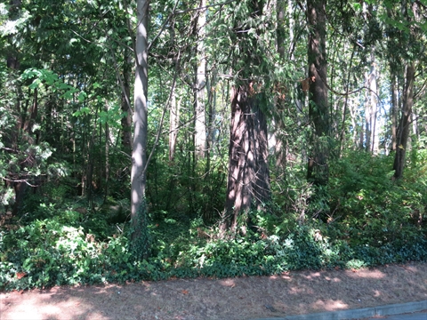 Pioneers Cemetery in Stanley Park, Vancouver, BC, Canada