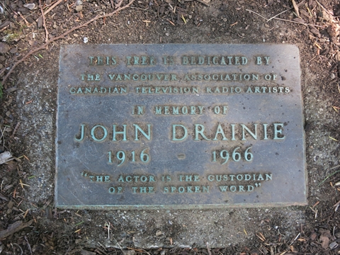 John Drainie Memorial Tree plaque in Stanley Park, Vancouver, BC, Canada