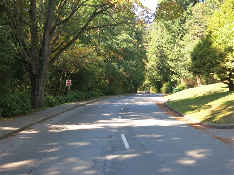 Vehicles navigating the scenic coastal loops of Stanley Park Drive lanes