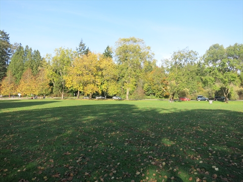 Ceperley Park in Stanley Park, Vancouver, BC, Canada