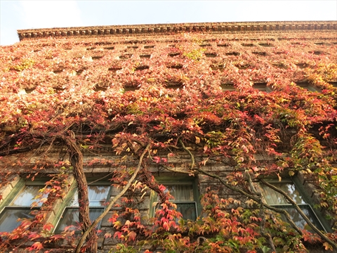 Syliva Hotel at English Bay, Vancouver, BC, Canada