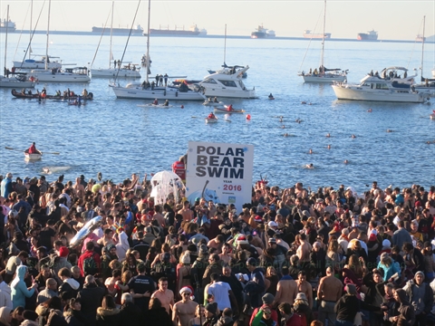 Swimmers diving into the ocean at Vancouver Polar Bear Swim event