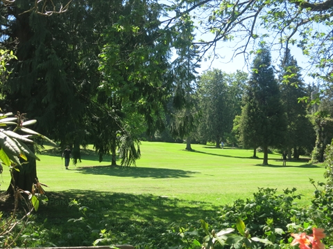 Manicured fairways at Stanley Park Pitch and Putt