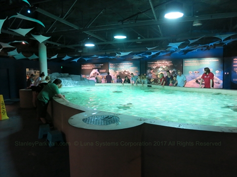Vancouver Aquarium in Stanley Park, Vancouver, BC, Canada