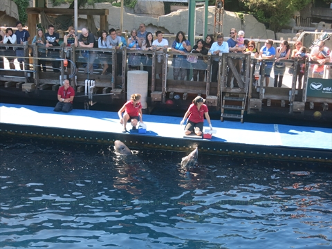 Vancouver Aquarium in Stanley Park, Vancouver, BC, Canada
