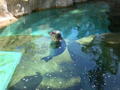 Vancouver Aquarium in Stanley Park, Vancouver, BC, Canada