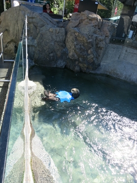 Vancouver Aquarium in Stanley Park, Vancouver, BC, Canada