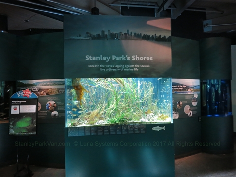 Vancouver Aquarium in Stanley Park, Vancouver, BC, Canada