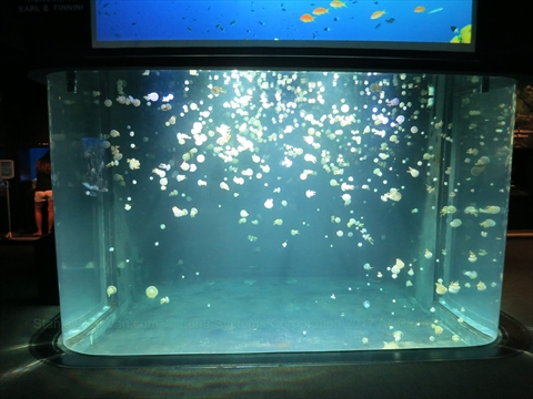 Vancouver Aquarium in Stanley Park, Vancouver, BC, Canada