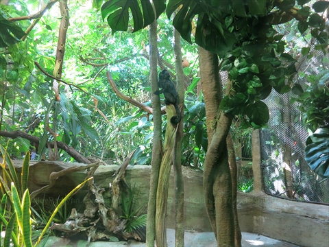 Vancouver Aquarium in Stanley Park, Vancouver, BC, Canada