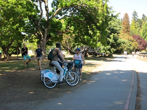 A grey urban city hybrid Mobi bike parked on a gravel trail path