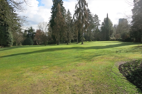 Golfers putting on a scenic green