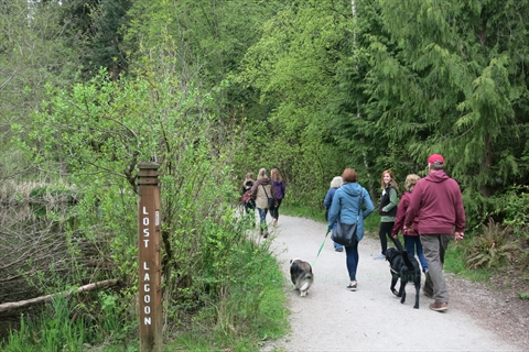 Hiking trail in Stanley Park, Vancouver, BC, Canada