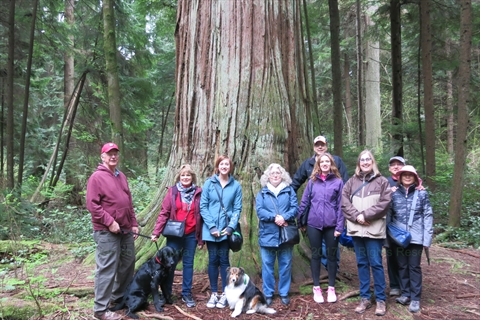 Walking Tour in Stanley Park, Vancouver, BC, Canada