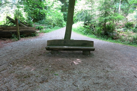 Bridle Path in Vancouver, BC, Canada