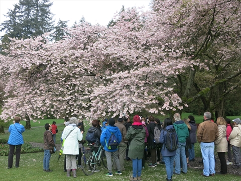 tour in Stanley Park, Vancouver, BC, Canada