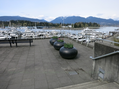 Coal Harbour Seawall view