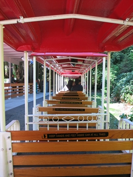 Spring/Summer Miniature Train in Stanley Park, Vancouver, BC, Canada
