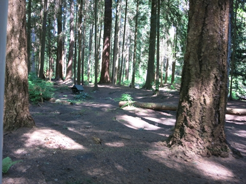 Spring/Summer Miniature Train in Stanley Park, Vancouver, BC, Canada