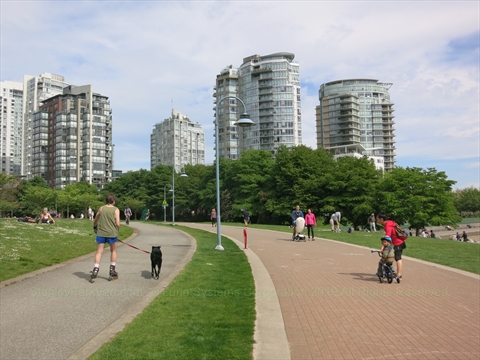 False Creek Seawall in Stanley Park, Vancouver, BC, Canada