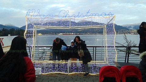Festive night lights on display across market grounds