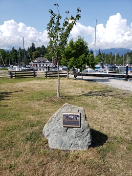 A grove of mature cherry trees commemorating the first known AIDS memorial