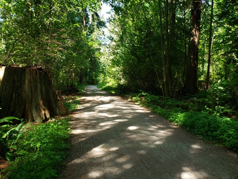 Rawlings Trail in Vancouver, BC, Canada