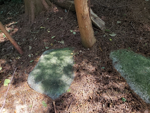 Rock behind E. Pauline Johnson memorial