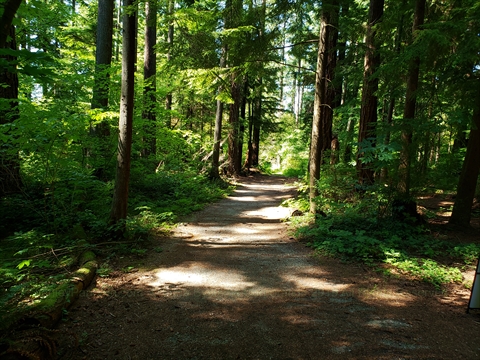 Miniature Train Trail in Vancouver, BC, Canada