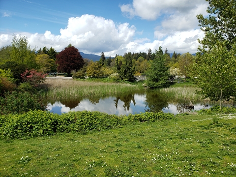 Devonian Harbour Park, Vancouver, BC, Canada