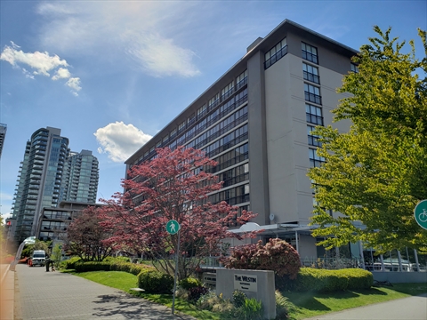 Cardero Park in Coal Harbour, Vancouver, BC, Canada