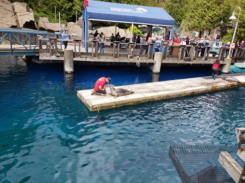 Marine Mammal Rescue Exhibit at the Vancouver Aquarium in Stanley Park, Vancouver, BC, Canada