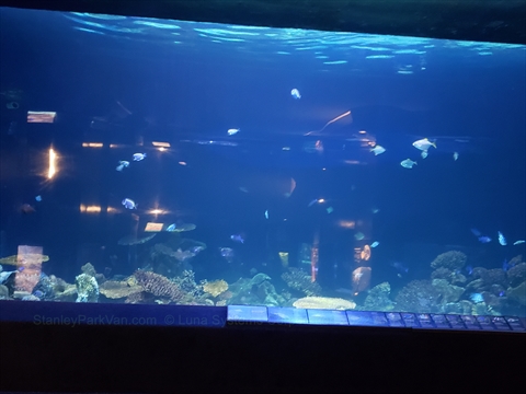Pacific Canada Pavilion at the Vancouver Aquarium in Stanley Park, Vancouver, BC, Canada