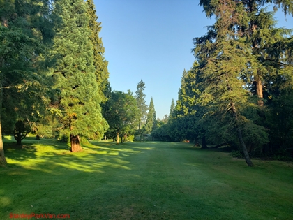 Hole 5 long fairway view