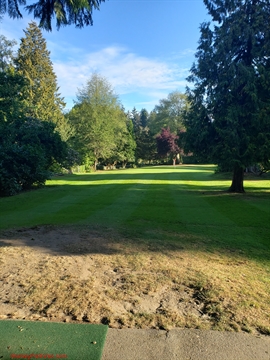 Hole 11 downhill approach view