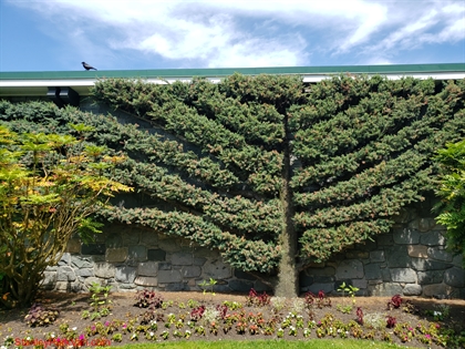 Vancouver Parks Board Office in Stanley Park, Vancouver, BC, Canada