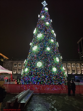 Vancouver Christmas Tree  at Vancouver Art Gallery, Vancouver, BC, Canada