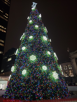 Vancouver Christmas Tree Ligthing at Vancouver Art Gallery, Vancouver, BC, Canada