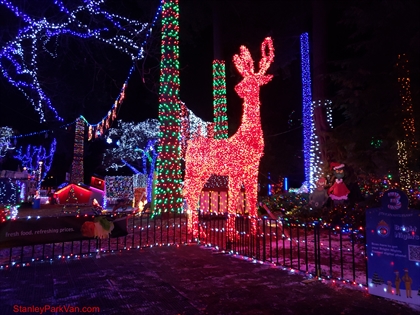 Bright Nights in Stanley Park, Vancouver, BC, Canada