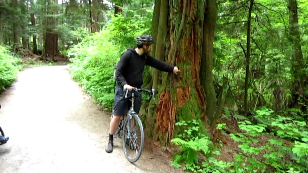 Bridle Trail in Stanley Park, Vancouver, BC, Canada