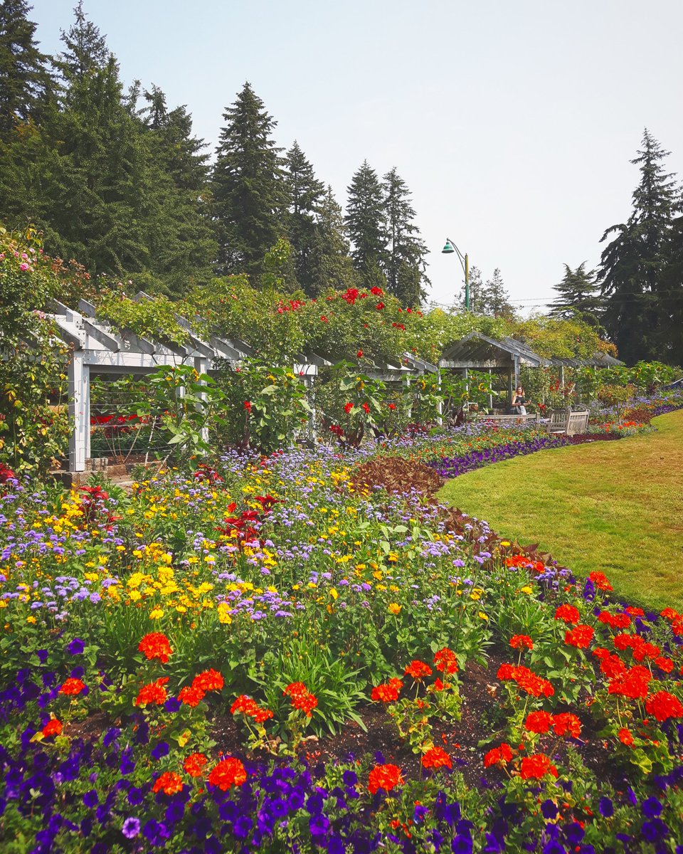 Rose Garden in Stanley Park, Vancouver, BC, Canada