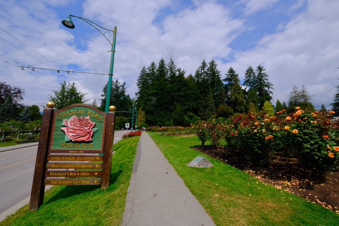 Rose Garden in Stanley Park, Vancouver, BC, Canada