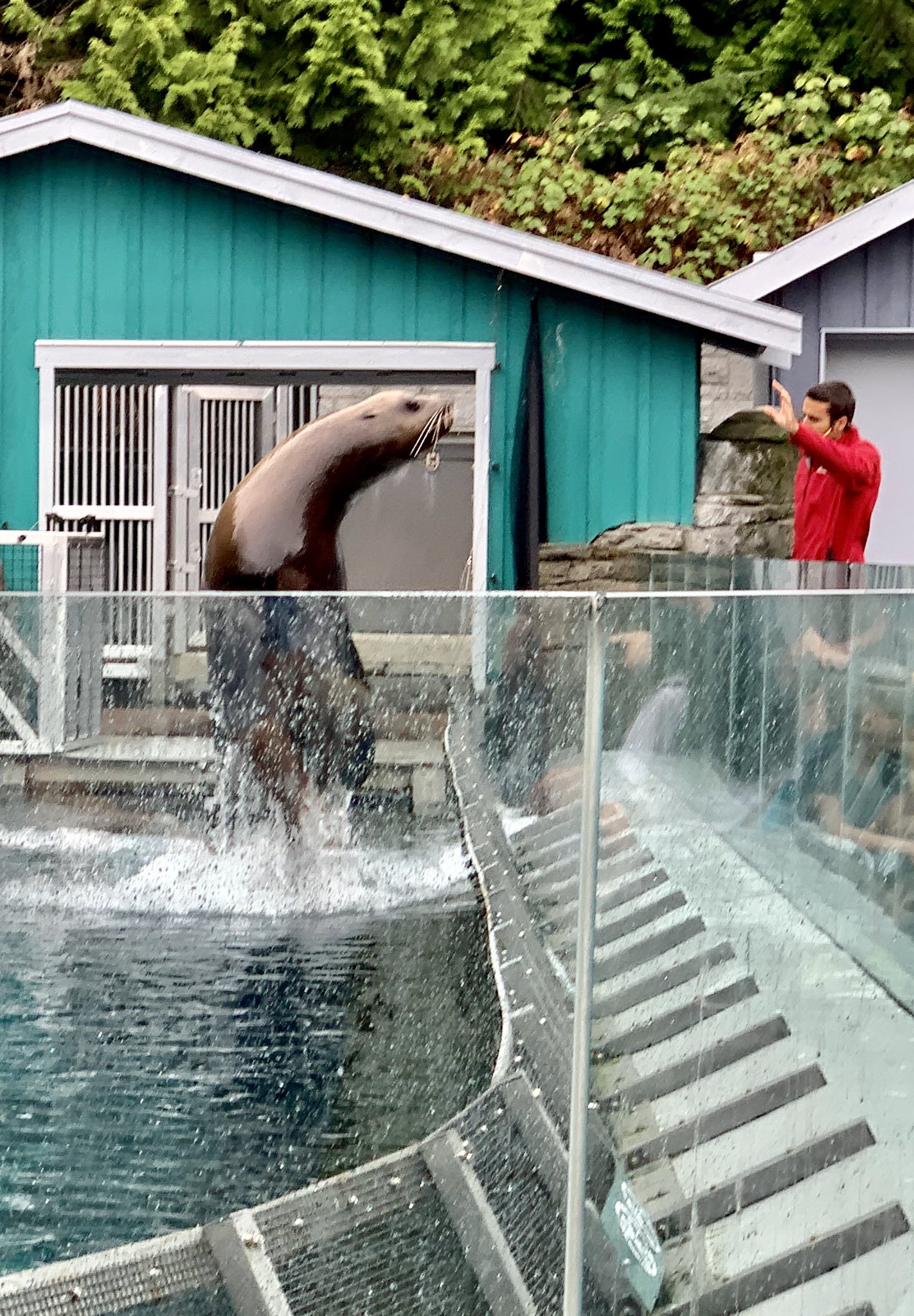 Vancouver Aquarium in Stanley Park, Vancouver, BC, Canada