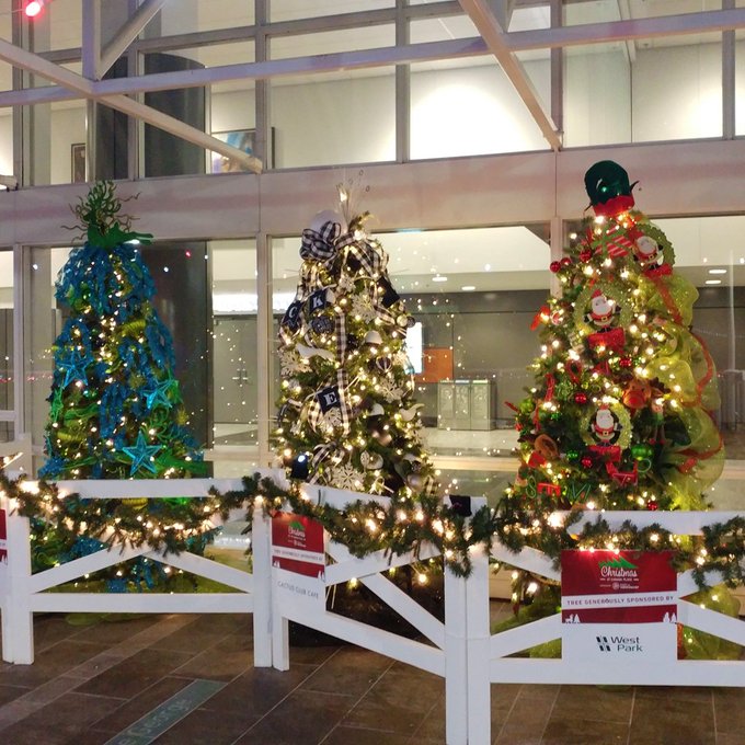 Avenue of Trees at Canada Place, Vancouver, BC, Canada