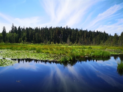 Beaver Lake in Stanley Park, Vancouver, BC, Canada